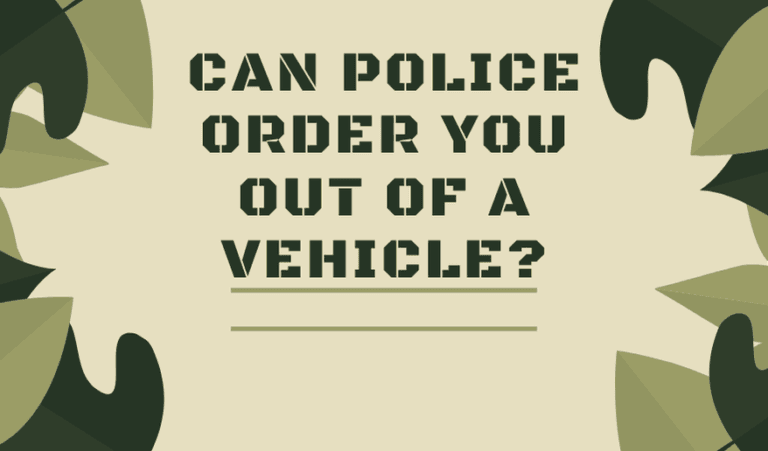 Can Police Order You Out of a Vehicle