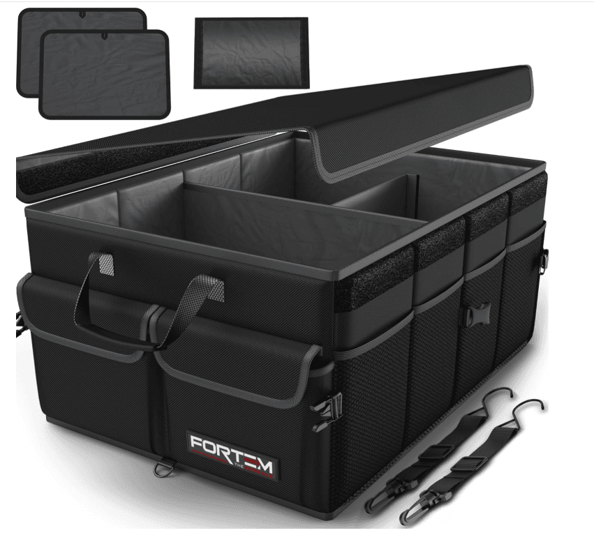 FORTEM Organizer