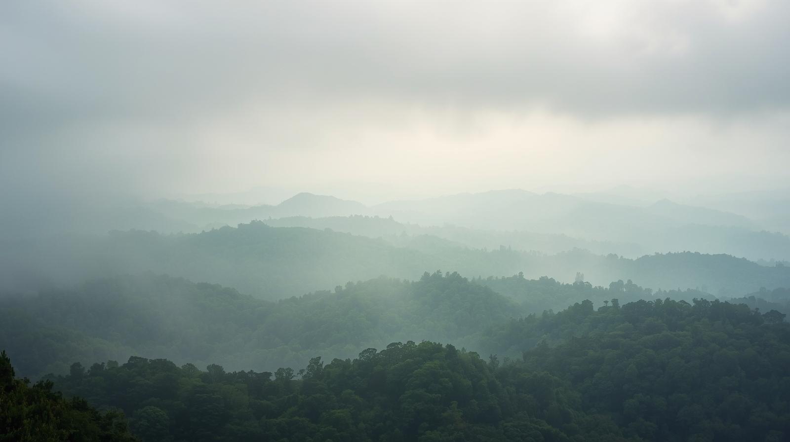 The Blue Ridge Mountains in Asheville, North Carolina, covered in mist.